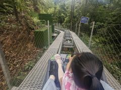 -中国大熊猫保护研究中心雅安碧峰峡基地