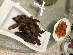 国际饭店-上海国际饭店