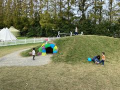 -前小桔亲子创意农场·草莓采摘·露营烧烤