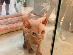 -乐宠宠物店(世纪金源店)