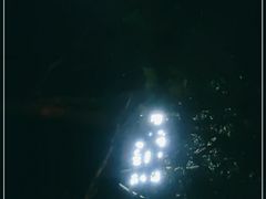 -浦江二号·独栋江景餐厅(滨江大道店)