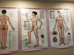 -养月堂中医养生月子会所(中心妇产店)