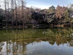 -杭州植物园