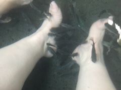 -唐风温泉