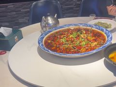 -新概念来凤鱼(璧山店)