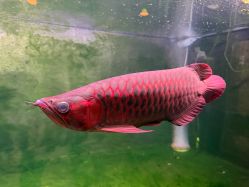 -青木造型HAIR·あおき髪を刈る潮人店