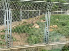 -西安秦岭野生动物园