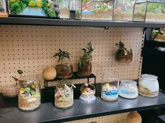 -光海书局(南京东路第一百货店)