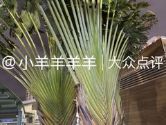 -澳门威尼斯人综合度假区