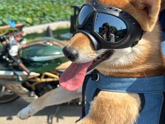 -素心小筑(后沙裕镇店)