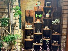 -慢丽江·云南野生菌土鸡锅(付家庄店)