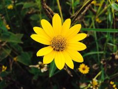 -永定河休闲森林公园