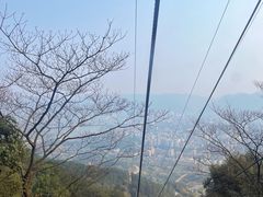 -缙云山景区
