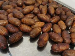 -铭记烧烤制作社•吊炉乳鸽 延吉冷面