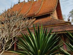 -西双版纳傣族园