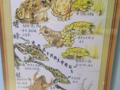 -上海昆虫博物馆