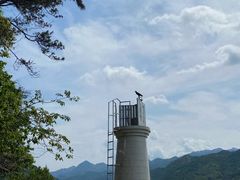 -羚羊峡古栈道森林公园