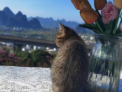 -61号餐吧(兴坪古镇漓江店)