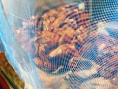 -阿二烤鸡(山塘街店)