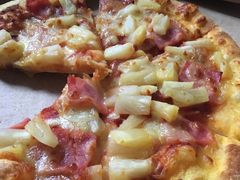 -达美乐比萨(双阳支路店)