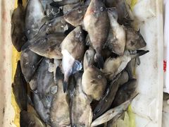 -芦潮港集贸市场