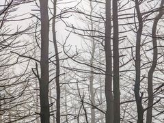 -灵山