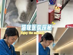 -御宝贝24h宠物医院·转诊中心·CT核磁血透中心(厦门总院)