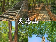 -上海佘山国家森林公园天马山园