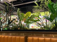 -聚汇坊椰子鸡·山野菌(环市东店)