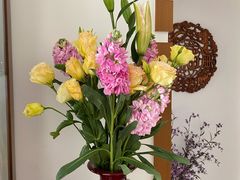 -朝来春花卉市场