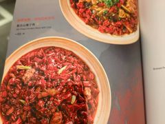 -峨嵋酒家 南北川菜 优选烤鸭(广渠路店)