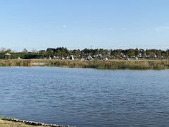 -春花秋色城市公园