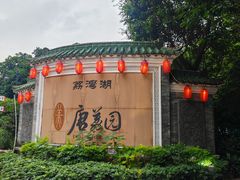 -侨美·唐荔园·40年地道粤菜