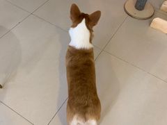 -平行世界·猫咖(首经贸店)
