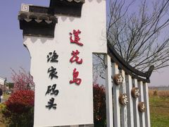 -莲花岛景区