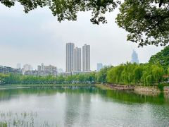 -宝岛公园