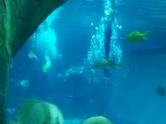 -福州罗源湾海洋世界旅游区