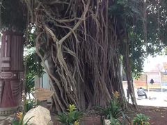 -龙达温泉生态城