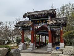 -中国唐苑