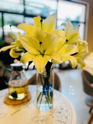 -YesYoga瑜伽普拉提塑形体雕馆