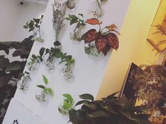 -威克特披萨汉堡