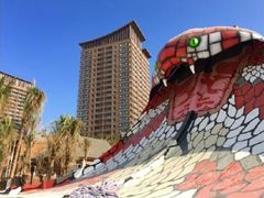 -平江亚马逊水上乐园