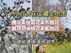 -天适樱花悠乐园