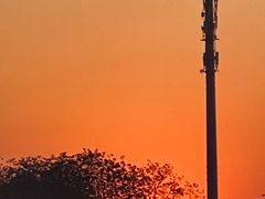 -陶虹海鲜餐厅(禅城石湾店)