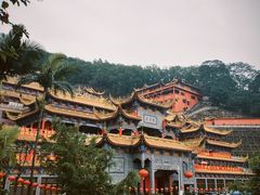 -东莞市大岭山森林公园