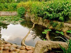 -成都市活水公园