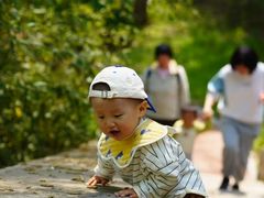 -北宫国家森林公园