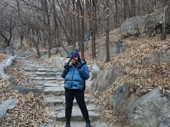 -阳台山自然风景区