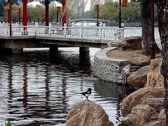 -长春市南湖公园