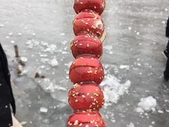 -前关湿地公园